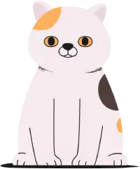 illustration de chat